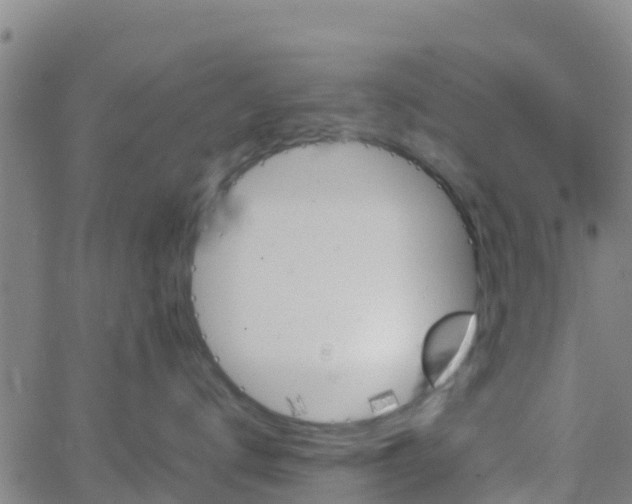 X0000066080672200603311937