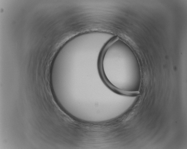 X0000066080673200603311936