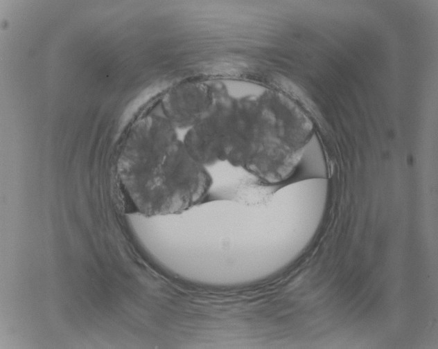 X0000066080675200603311936