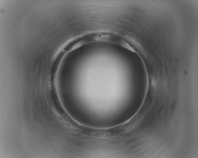 X0000066080676200603311936