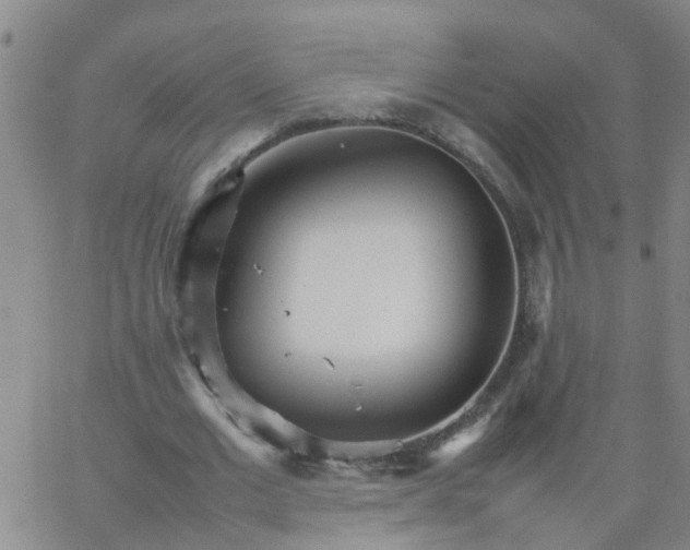 X0000066080677200603311936