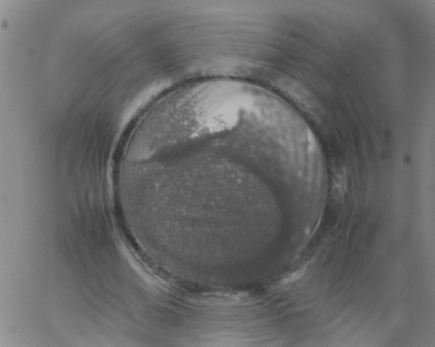 X0000066080678200603311936