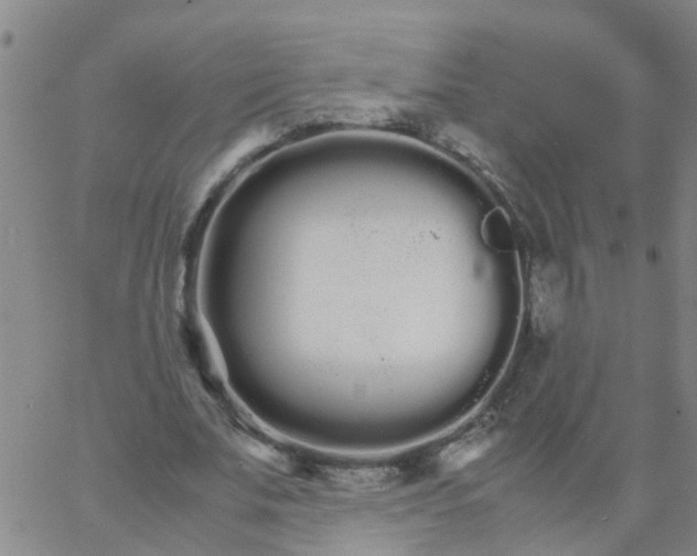 X0000066080679200603311936