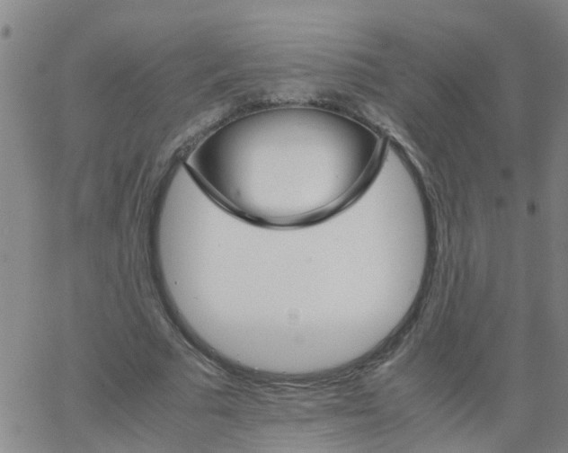 X0000066080681200603311936