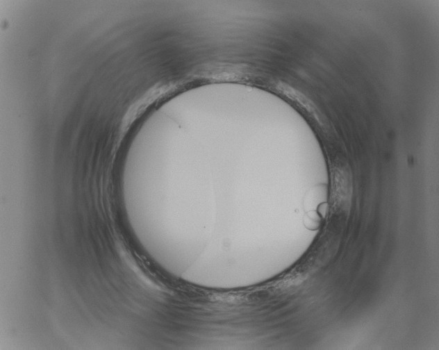 X0000066080682200603311936