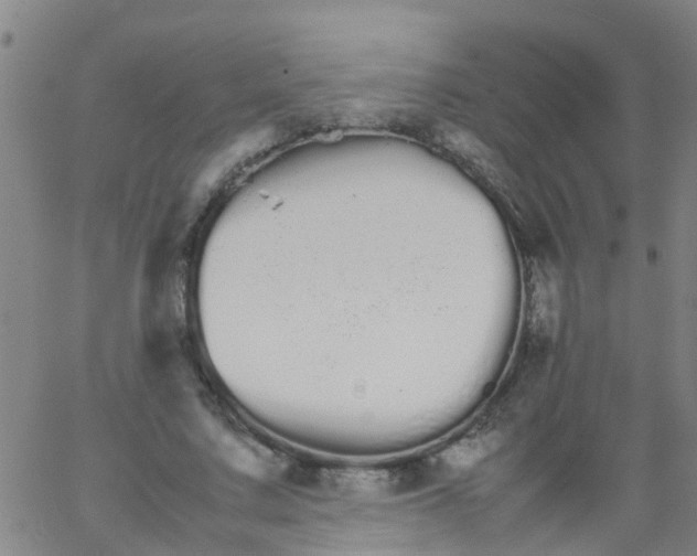 X0000066080683200603311936