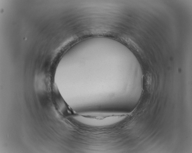 X0000066080684200603311936