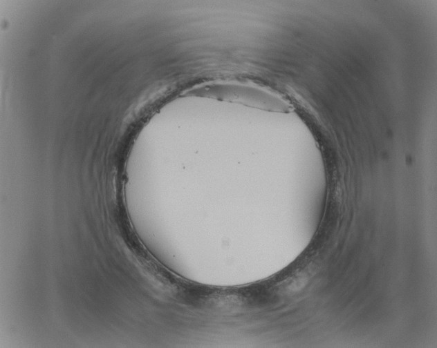 X0000066080685200603311936