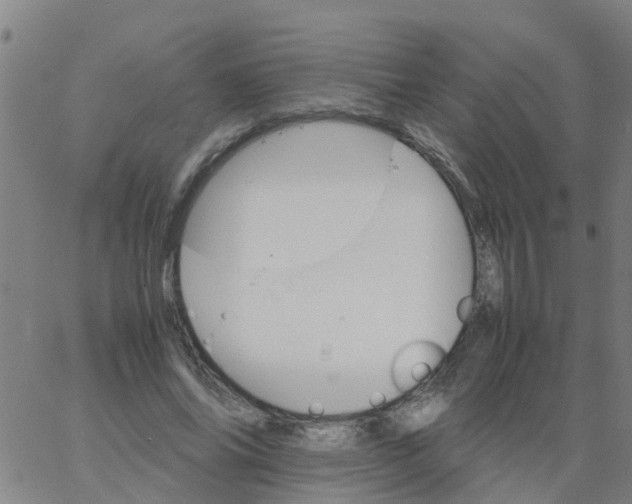 X0000066080686200603311936