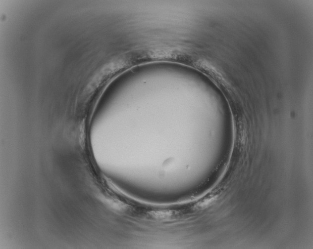 X0000066080687200603311935