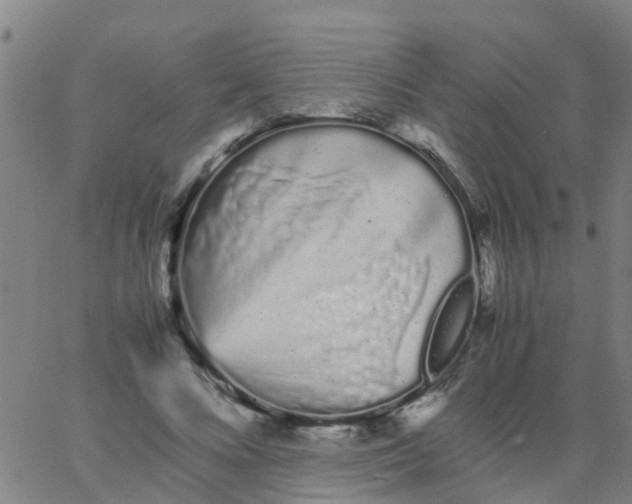 X0000066080688200603311935