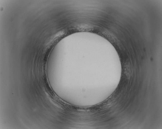 X0000066080690200603311935