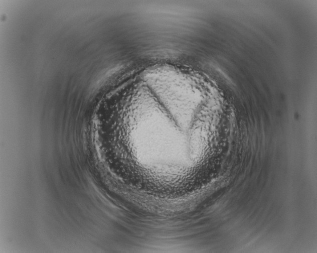 X0000066080692200603311935