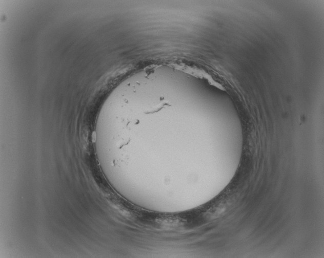 X0000066080693200603311935