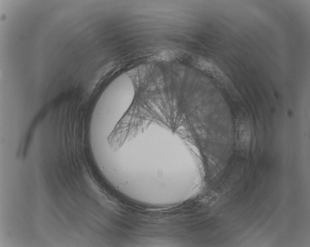 X0000066080694200603311935