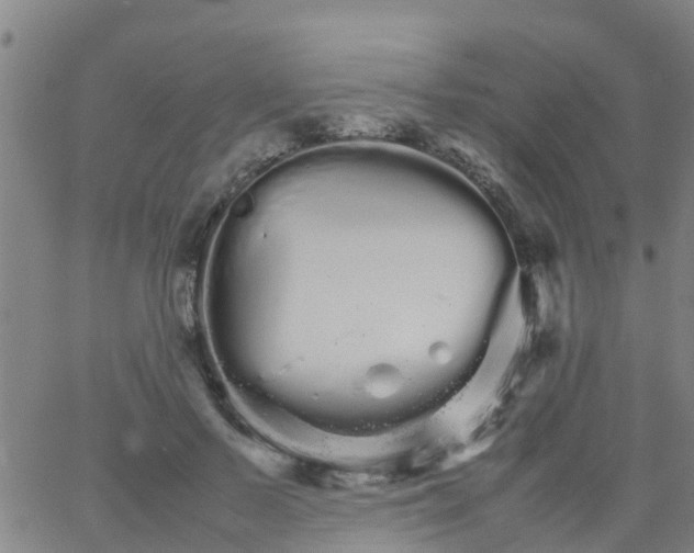 X0000066080695200603311935