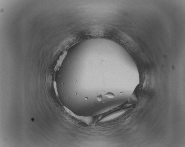 X0000066080697200603311935