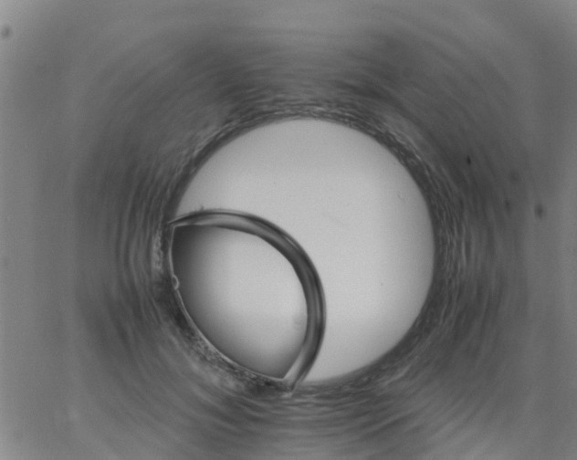 X0000066080700200603311935