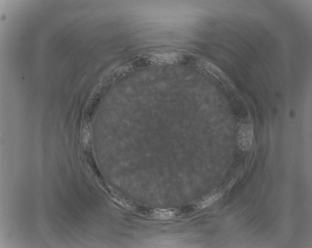 X0000066080701200603311935