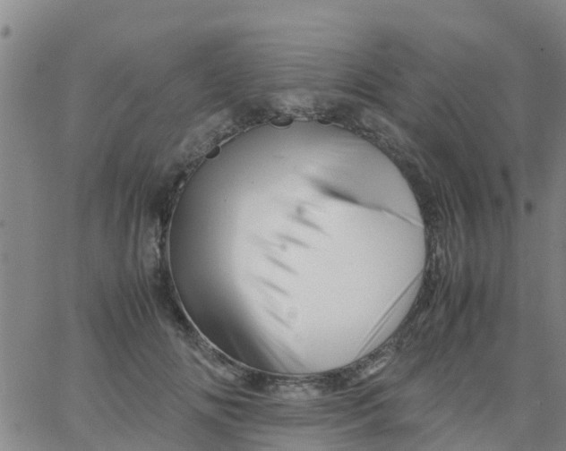 X0000066080702200603311935