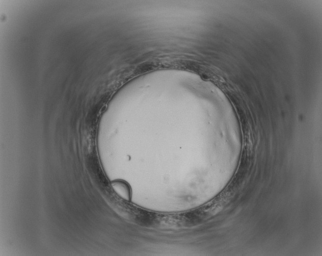 X0000066080703200603311935