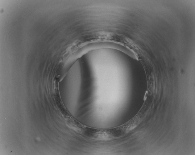 X0000066080704200603311935