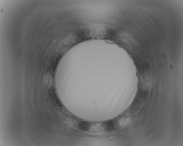 X0000066080705200603311935