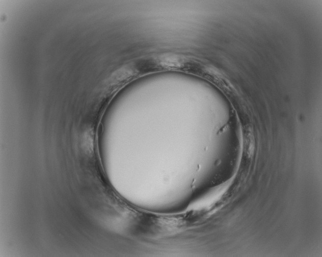 X0000066080707200603311935