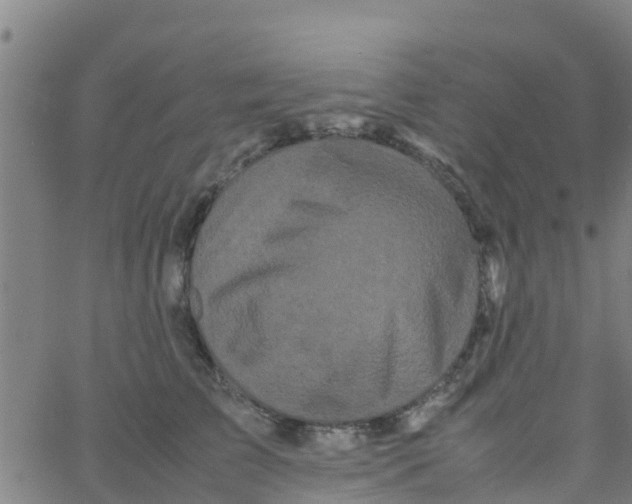 X0000066080709200603311935