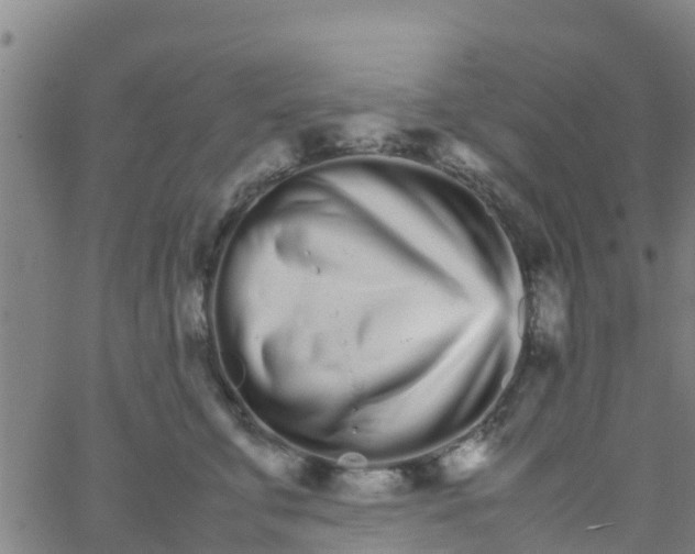 X0000066080711200603311935