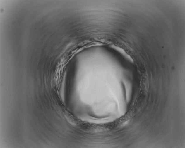 X0000066080712200603311935