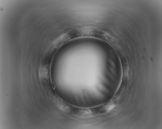 X0000066080715200603311935