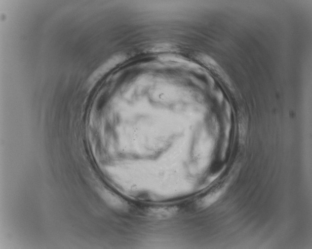 X0000066080721200603311934