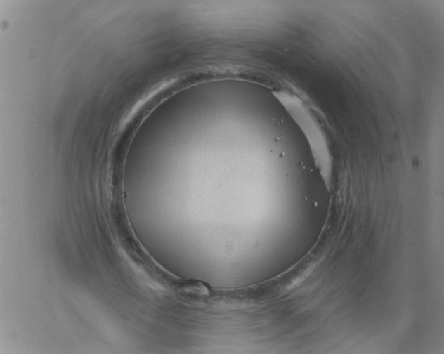 X0000066080722200603311934