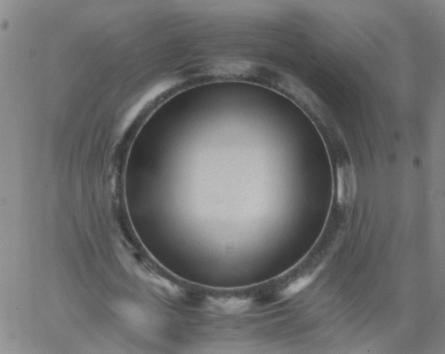 X0000066080723200603311934