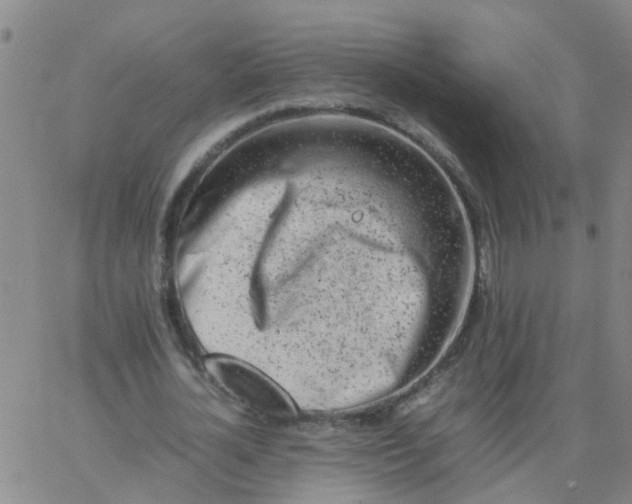 X0000066080724200603311934