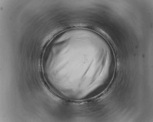 X0000066080725200603311934