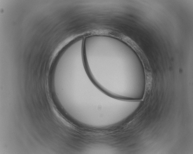 X0000066080726200603311934