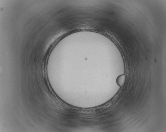 X0000066080727200603311934