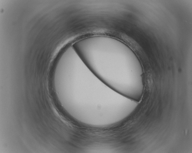 X0000066080728200603311934