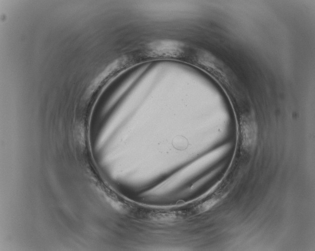 X0000066080729200603311934