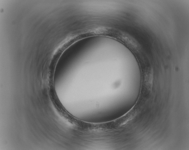 X0000066080730200603311934