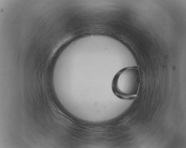 X0000066080731200603311934