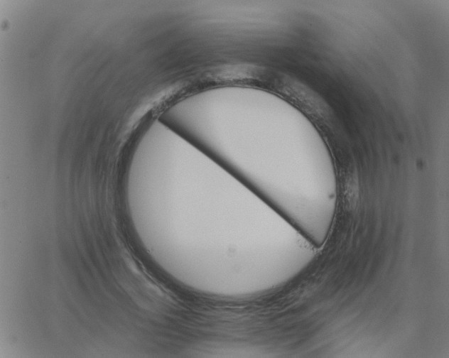 X0000066080732200603311934