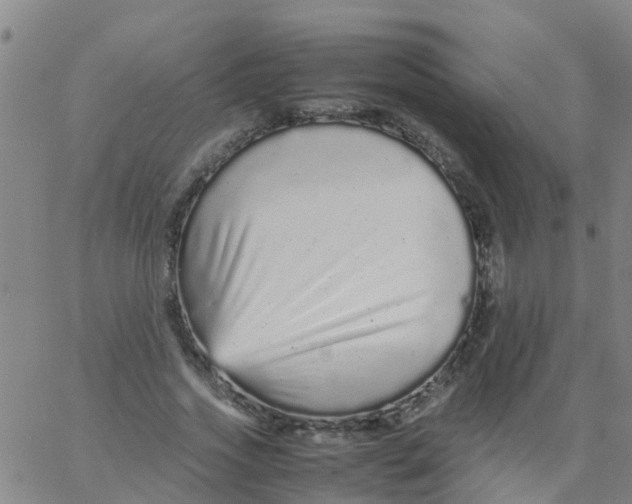 X0000066080733200603311934