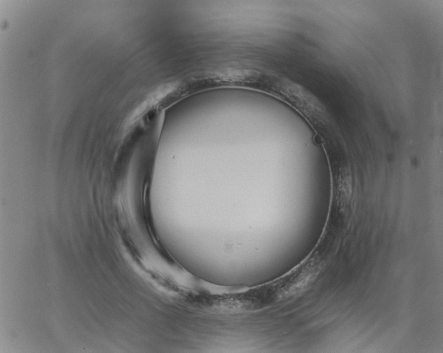 X0000066080734200603311934