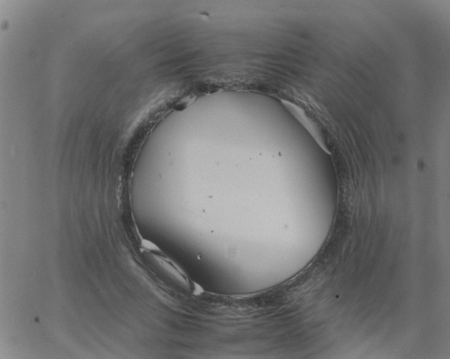 X0000066080735200603311934