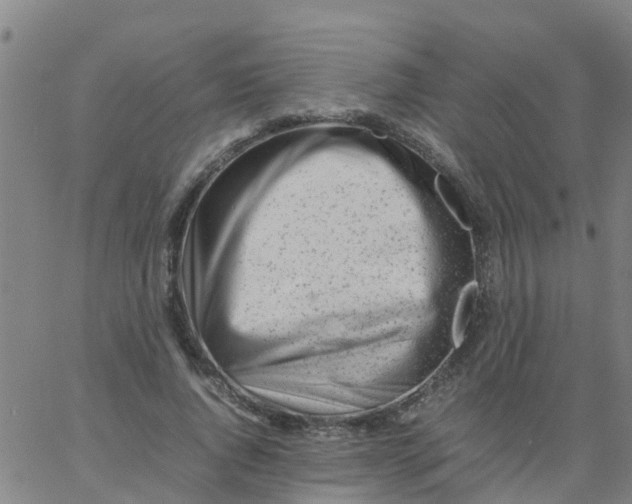 X0000066080736200603311934