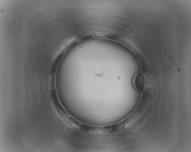 X0000066080738200603311934