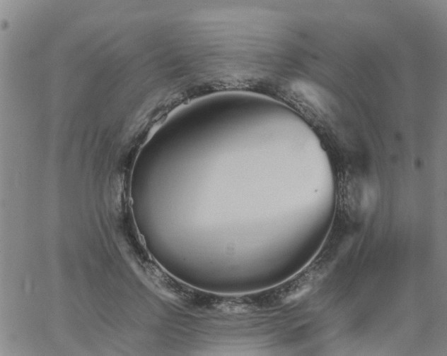 X0000066080742200603311935